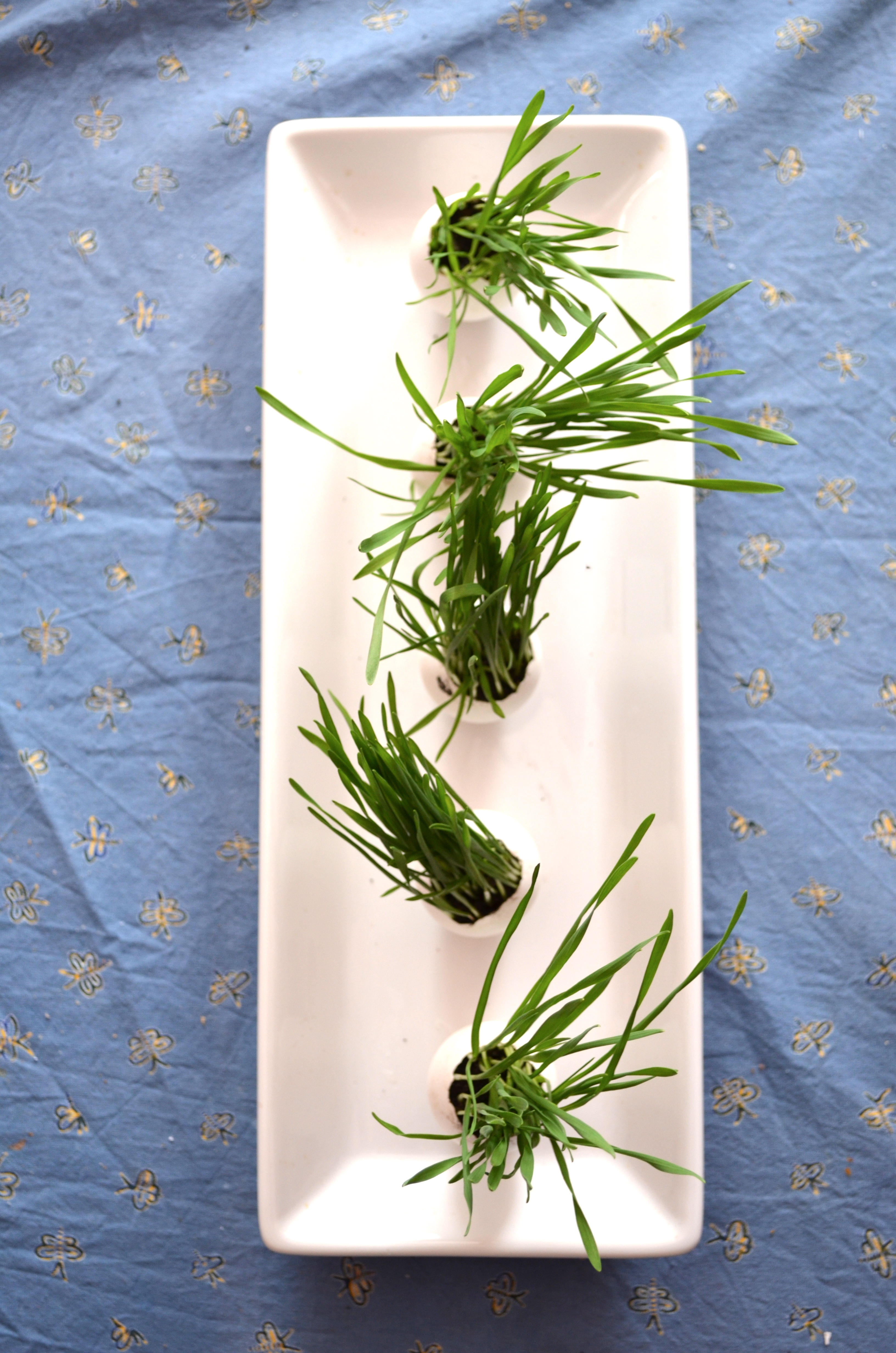 DIY Easter Egg and Grass Centerpiece via the Path Less Traveled